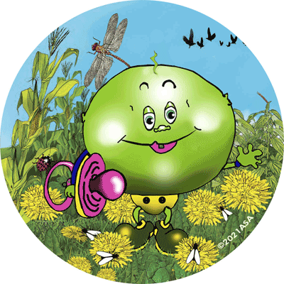 Pea-Weany Ornament