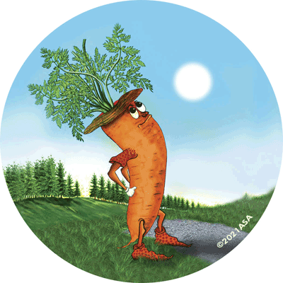 Carrot-Parrot Ornament