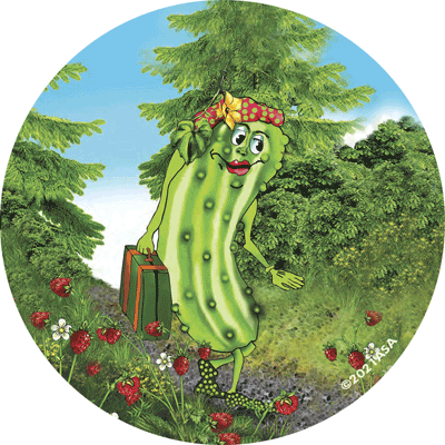 Pickle-Fickle Ornament